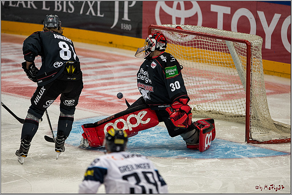 Koelner Haie - ERC Ingolstadt, 23.10.2016